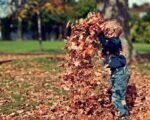 boy-1209964_1280